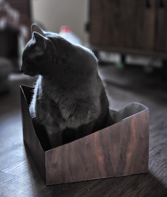 He fits, so he sits!
