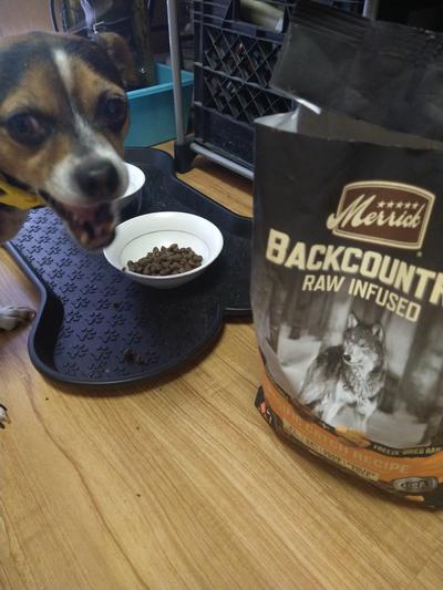 Merrick backcountry clearance dog food reviews