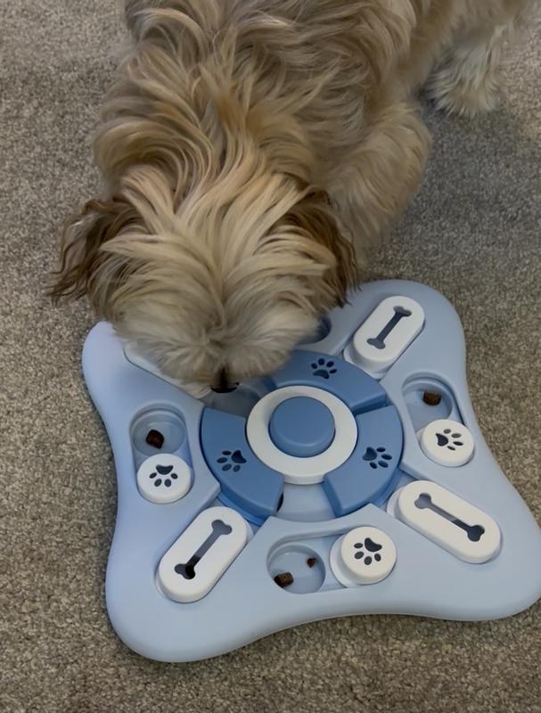 Kia’s favorite Gameboard