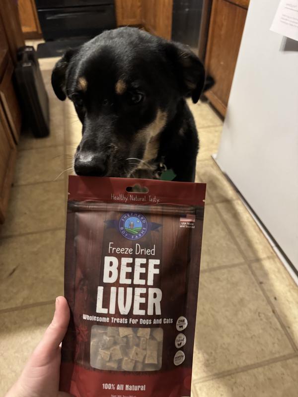 My pup excited for the treats!