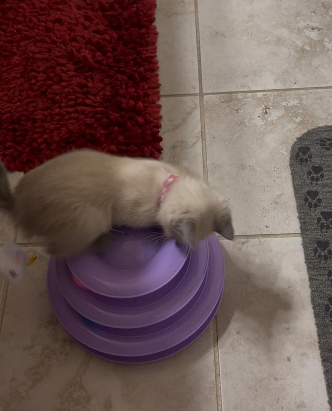 Wait … I saw that !!