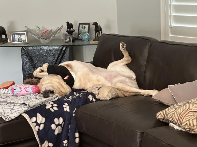 As you can see, she’s comfortable sleeping in it!