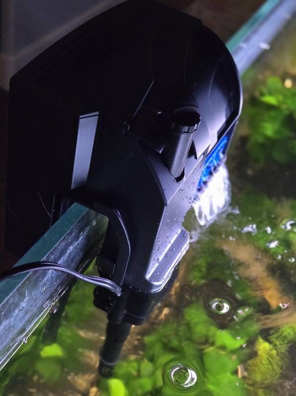 Aqueon SmartClean side