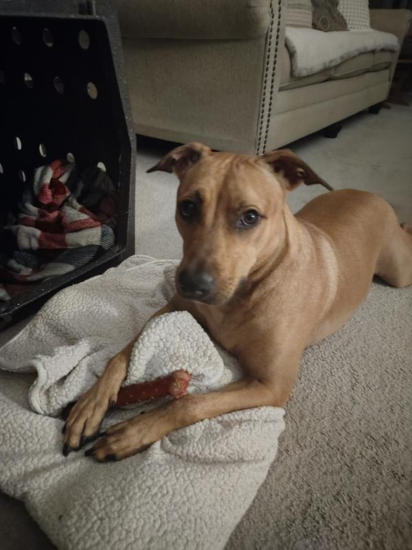 Penny after 15 minutes