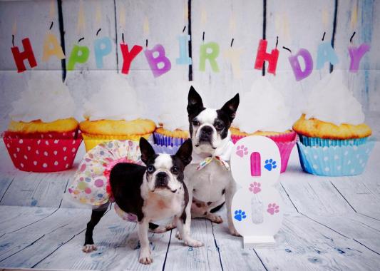 Happy Birthday to us!