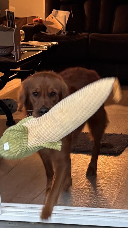 Love my corn