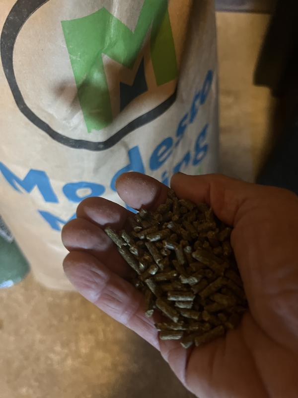 The pellets are small, so they soften very quickly when soaked.