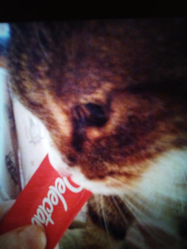 Charlie talking yumyum