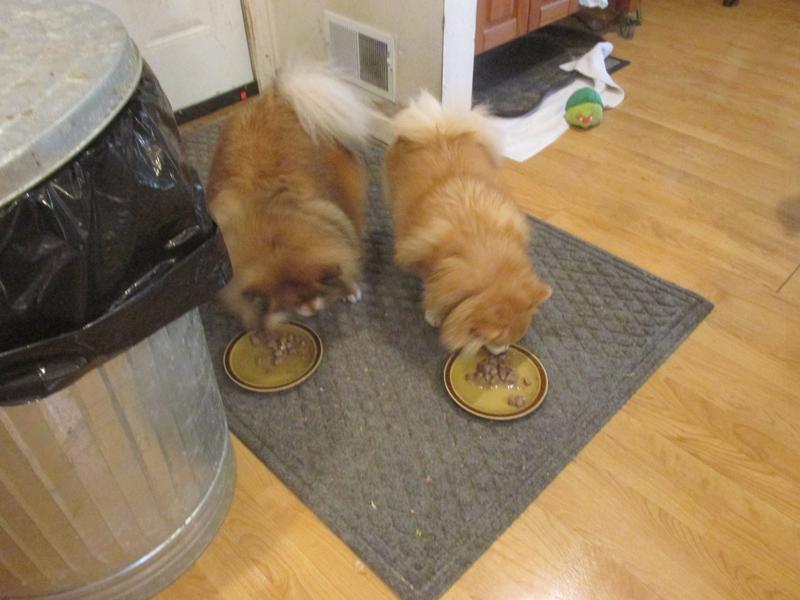 Two very happy girls.