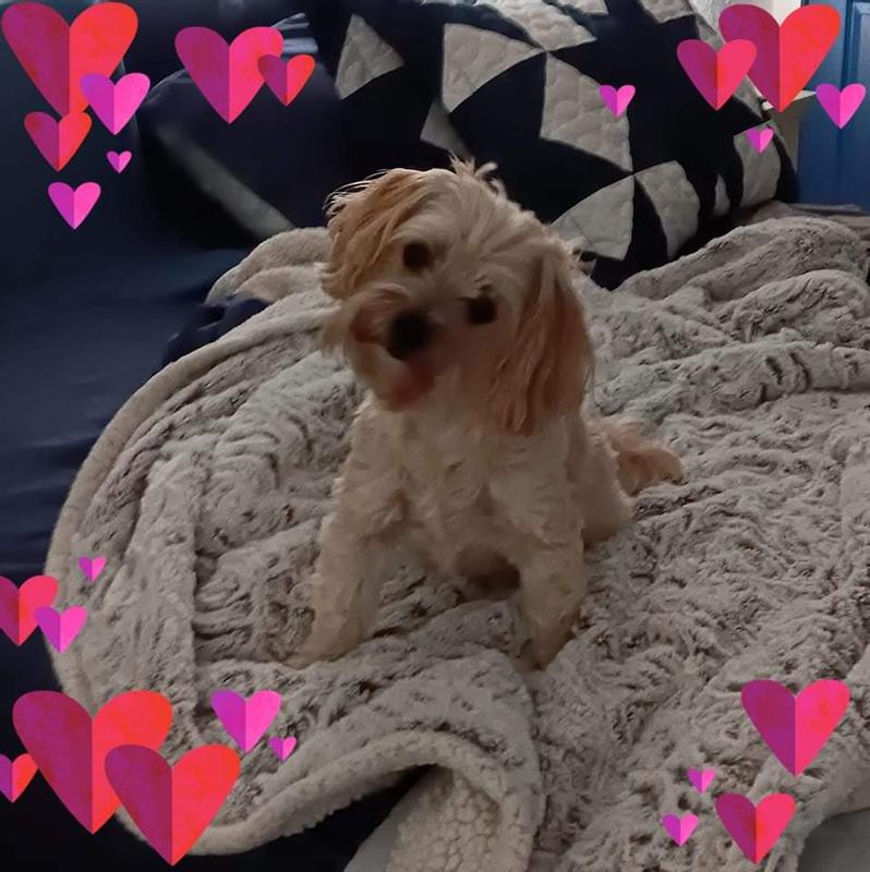 Happy Boo!!