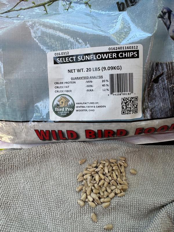 Sunflower seeds, not chips.  The label is mistaken.