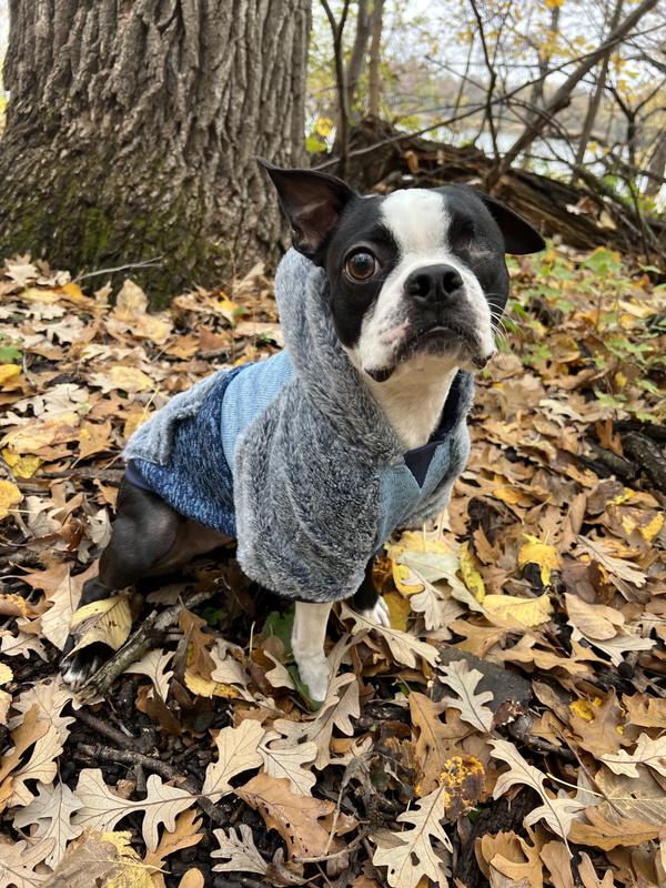 Clothes Boston Terrier Hoodie FRISCO Tonal Colorblock Fleece Dog