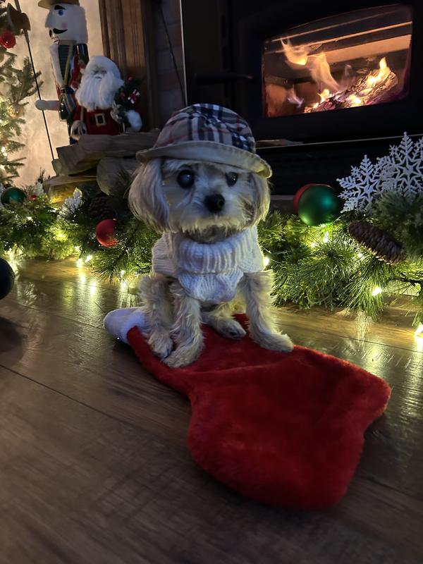 So stinking cute 🥰