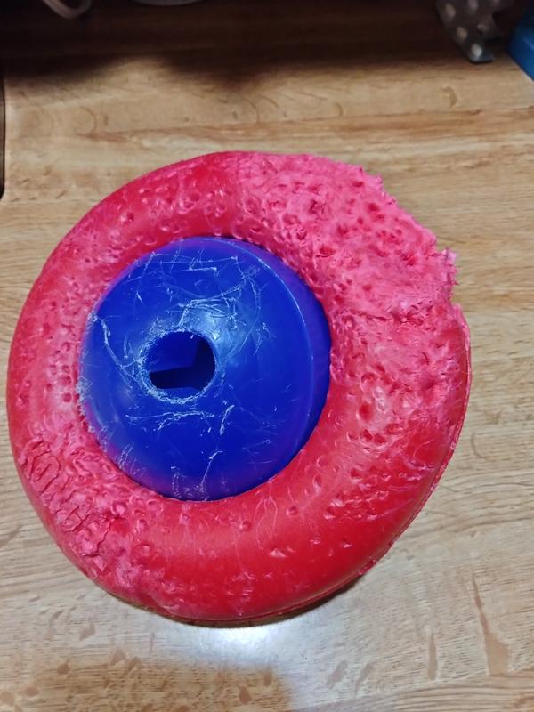 Kong Gyro Ball Spinning Dog Toy, Red/Blue, L