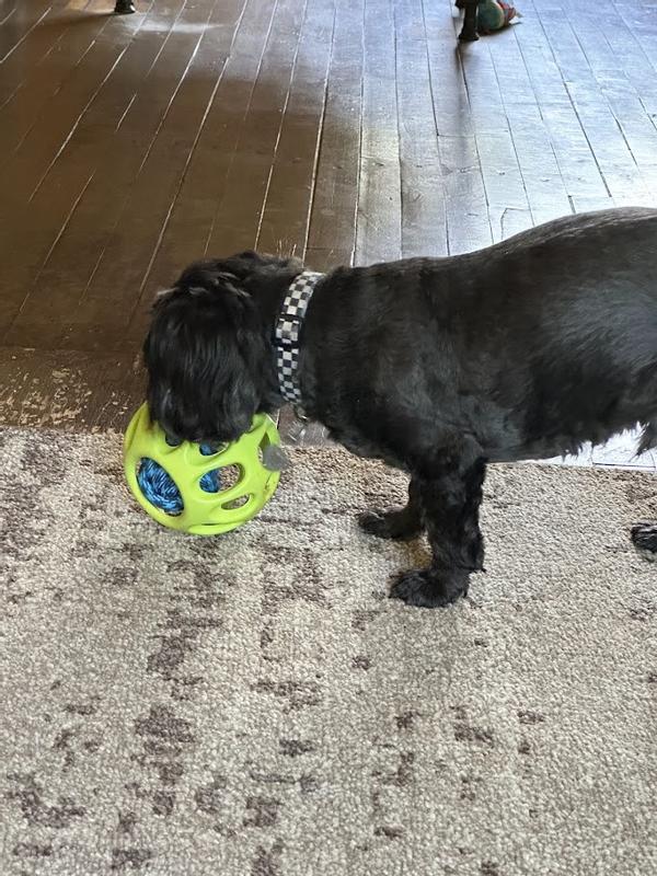 Sniff Sniff, what dis??