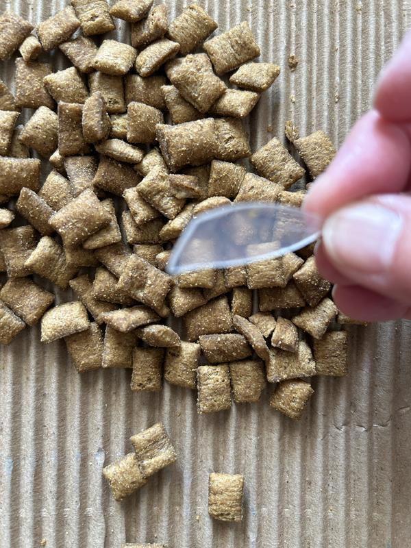 Large shard of plastic in with the treats