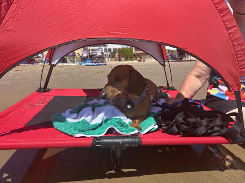 Provides nice shade on the beach