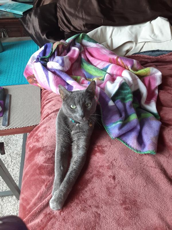 Diva at her finest!