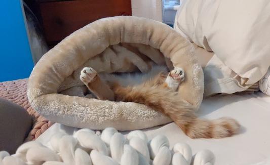 Armarkat burrow outlet cat bed