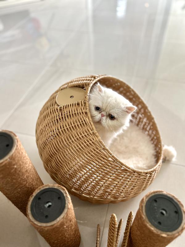 He jumped in before I could even put it together