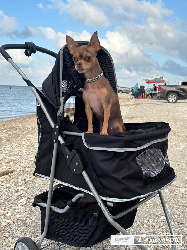 FRISCO Dog & Cat Collapsible Stroller, Black - Chewy.com