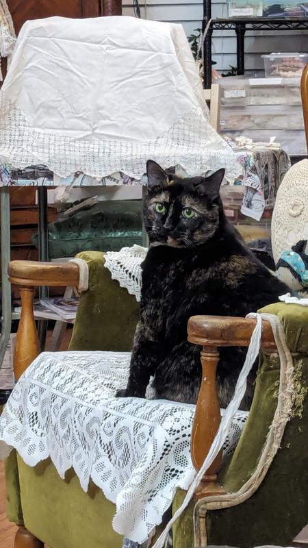 Queen of lace. She wouldn't have it any other way.