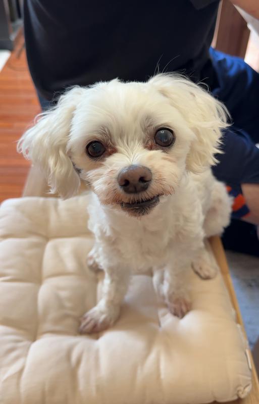 Jelly says thank you for keeping him healthy!