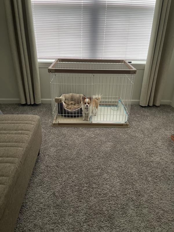 Benny’s new jail