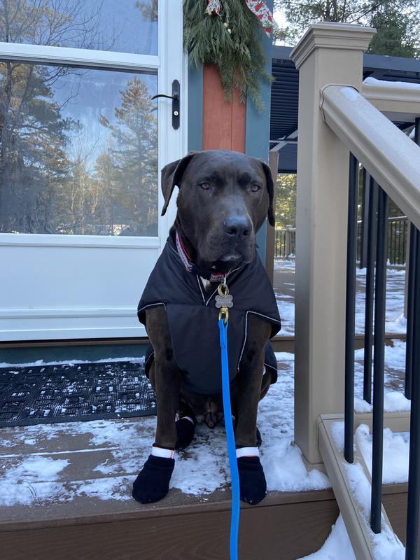 Getting ready to slay the day