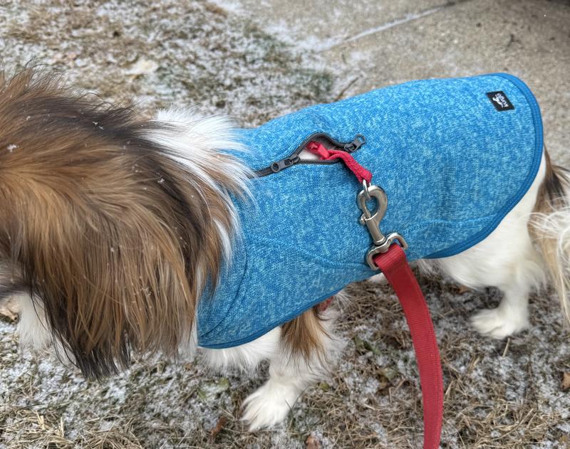 Ruffwear Harness Dog Leash For Large Dogs Kurgo K9 Core Dog