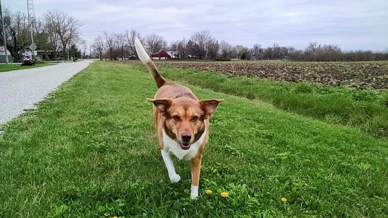 Momma on her and I on our morning walk.