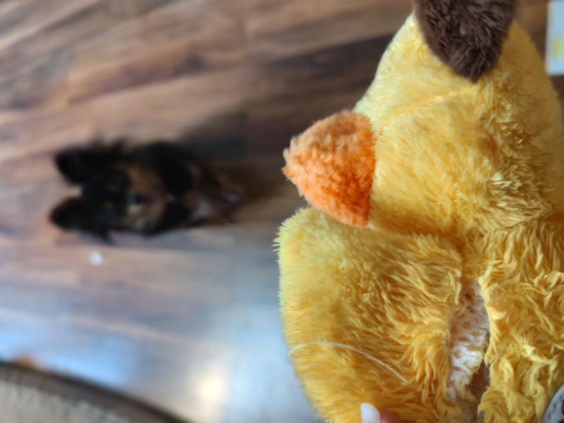 GoDog Silent Squeak Flips Duck Bear Dog Toy, Yellow, Large