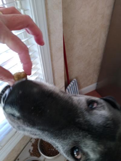 Gently taking her vitamin