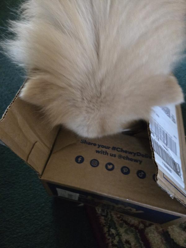 What is it????