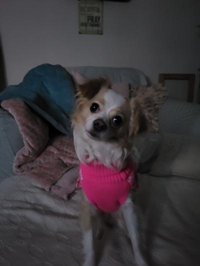 Our fur baby!