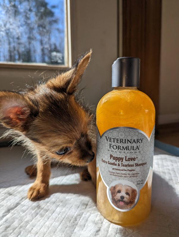 Veterinary formula puppy outlet love shampoo