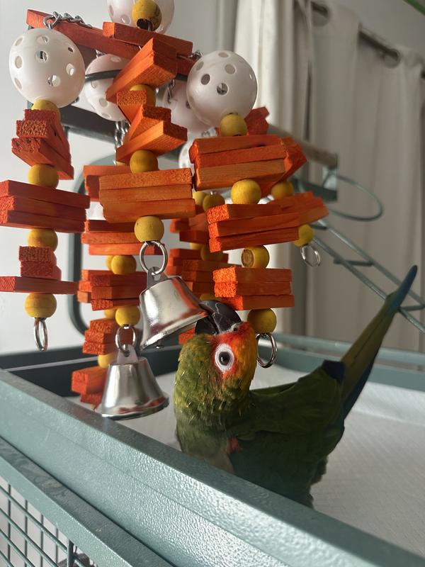 Olive is loving her new toy!