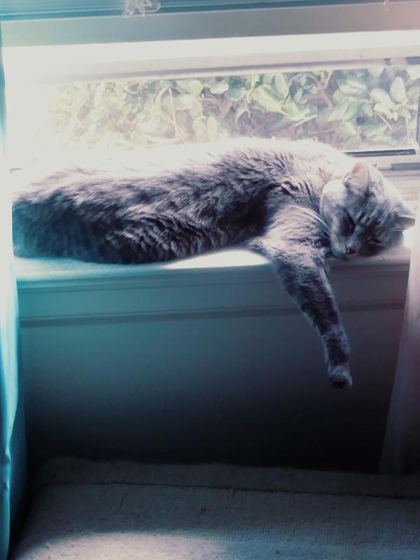 Grayson catching rays.