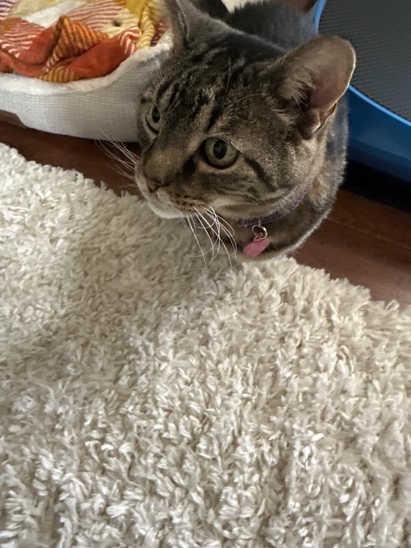 I’d love a few more please