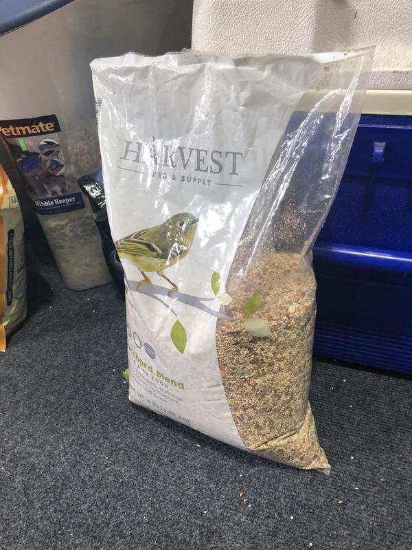 Harvest Seed & Supply Suet Crunch Wild Bird Food, 8-lb bag