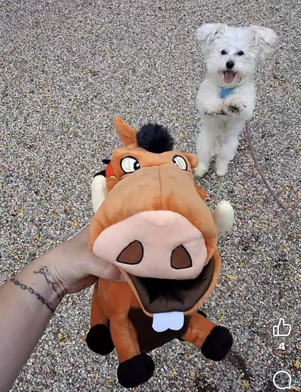 Archie at the dog park with his new stuffie :)