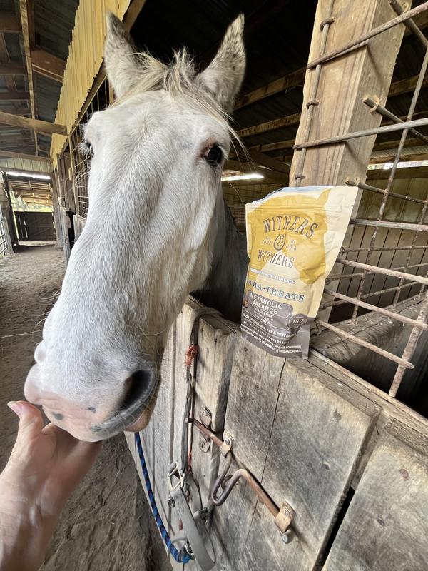 Woodrow Wilson, although not diabetic gets special treats and he loves these as well as anything he’s had ever.