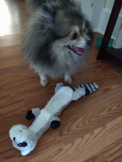 Two dead squeakers later.