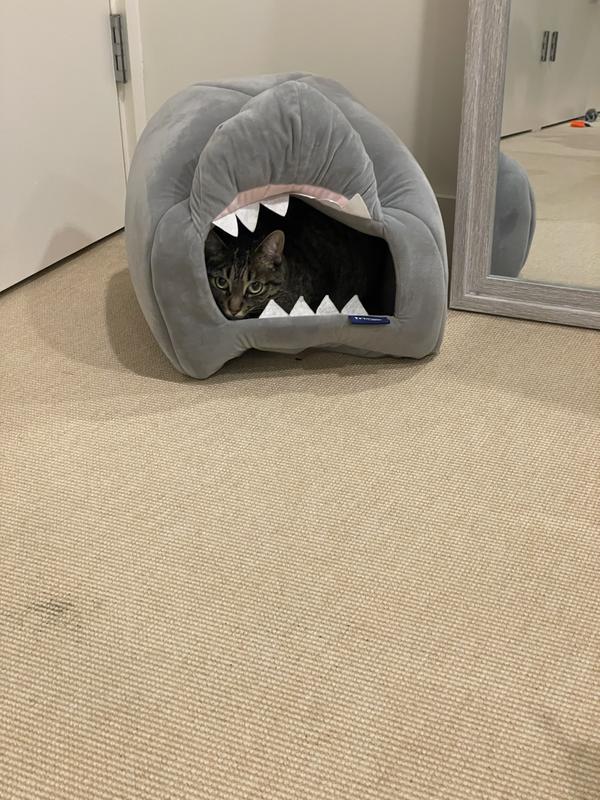 Remy “Megladon” S.