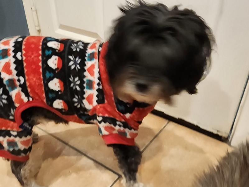 Frisco Santa Plaid Polar Fleece Dog & Cat PJs