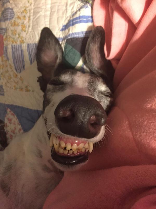 I've got good teefers!