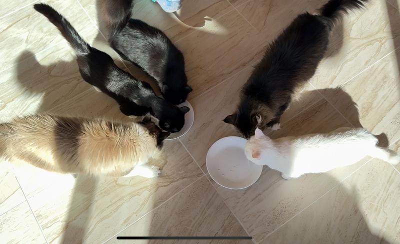 More, please!