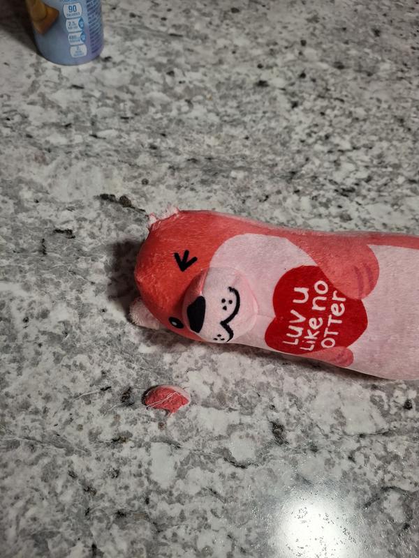 Torn ear after 10 minutes of play