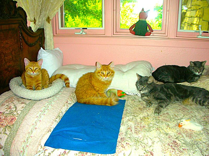 Family Portrait: Hopefully All 4 Got into the Shot