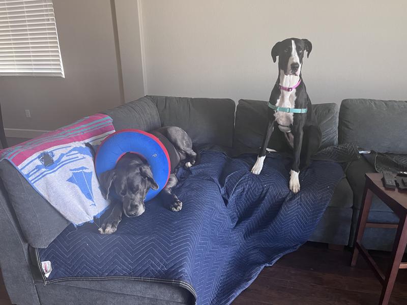 Soft removable covered inflatable cone, way better!